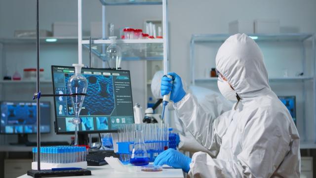 Опасный грибок из древних гробниц превратили в лекарство против рака