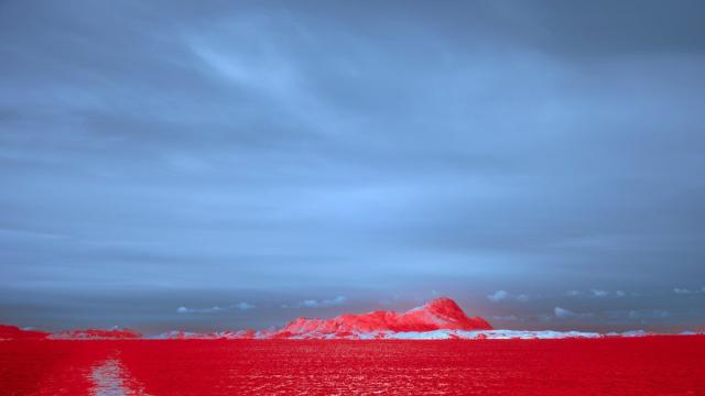 Подводный пожар: цветение морских водорослей убивает все живое