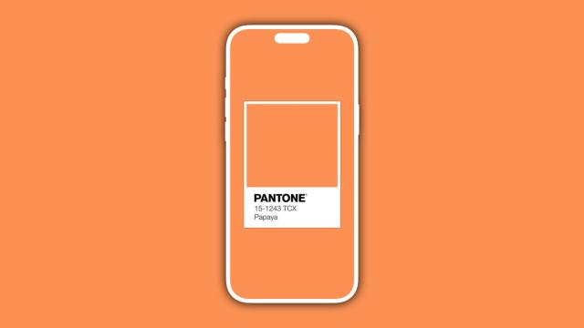 Каким будет оранжевый iPhone 17 Pro? Есть первые фото