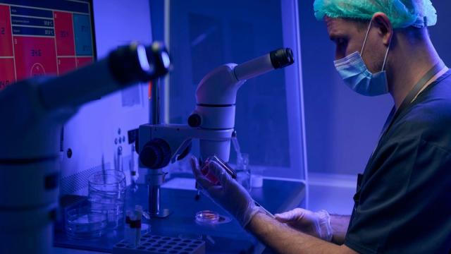 В СПбГУ создали отечественный инструмент для быстрой диагностики инфекций