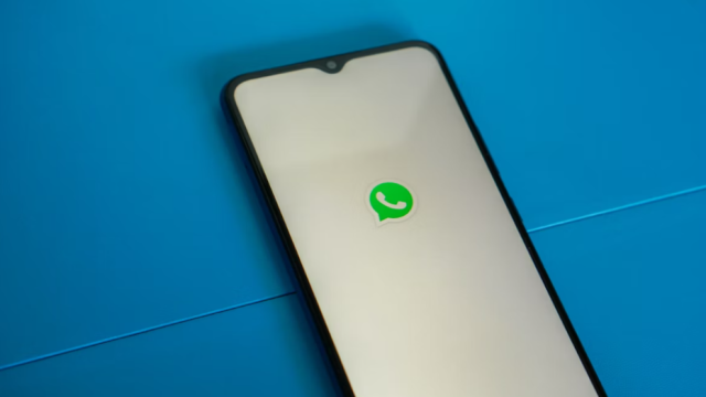 Конфиденциален и защищен: WhatsApp ответил на блокировку звонков в России