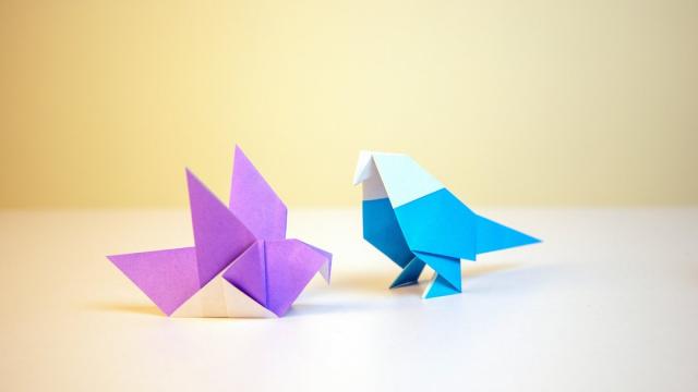 Не только для детей: цветы-оригами изменят дизайн спутников и роботов