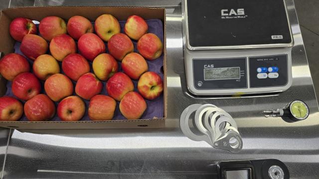 Цифровой ревизор: какие технологии следят за свежестью продуктов в ритейле