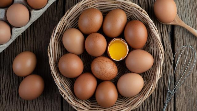 Яйца продлевают жизнь: неожиданные выводы ученых