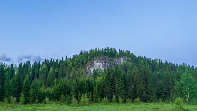 В кольской тайге накапливается радиация: что известно