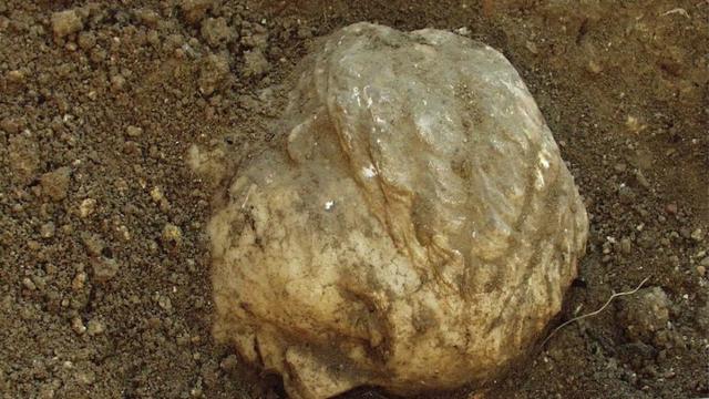 Раскрыта тайна древней мраморной женской головы из Крыма