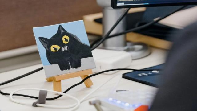 Microsoft расширит сотрудничество с Anthropic, но сохранит глубокие связи с OpenAI
