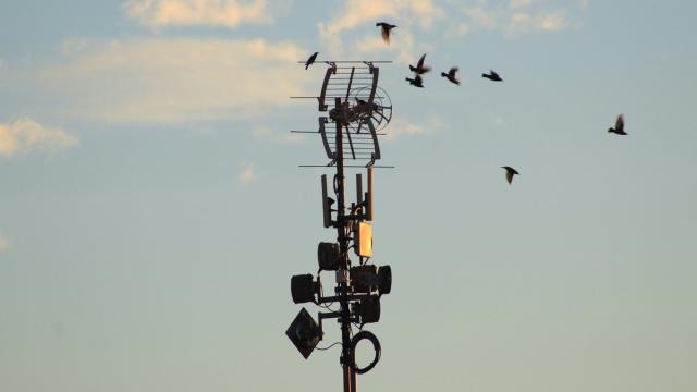 В Москве разработали элементы фотонных схем для устройств 6G