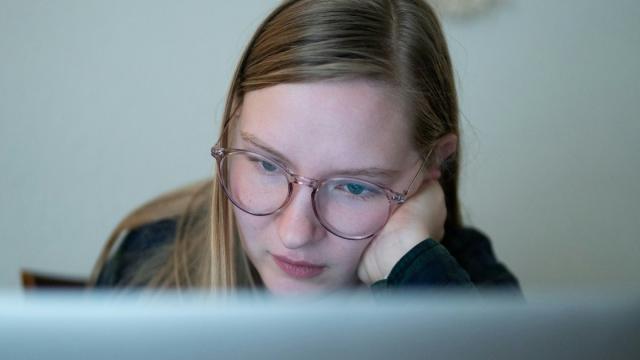 Доля трафика поисковых систем в 2025 году сократилась на 25%