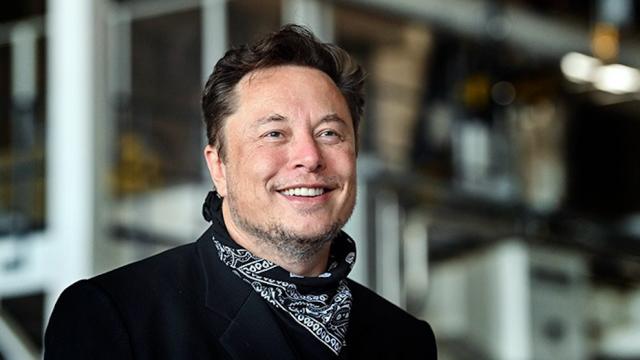 Истина от Маска: скоро появится нейросетевая замена «Википедии»