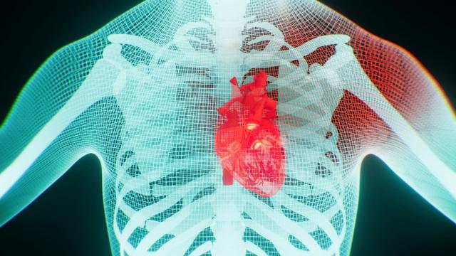Создан компьютерный алгоритм для диагностики сердечно-сосудистых заболеваний
