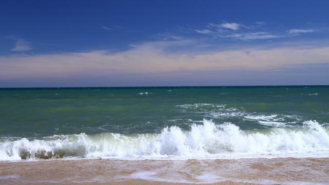 Экологи назвали обмеление Каспия природным явлением, бороться с которым бессмысленно