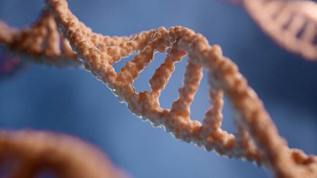 В России создана система анализа генома животных для защиты от биоугроз