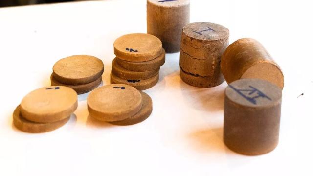 Природа против радиации. Ученые создали «натуральную» защиту от излучения