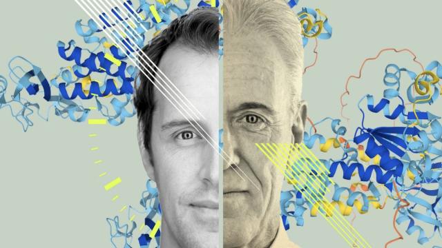 Разблокировка системы самоочистки клеток обращает старение вспять