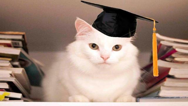 Тест: изумите всех своей интеллектуальной подготовкой