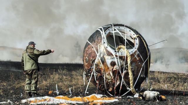 У побывавших на орбите тритонов отросли лапы и хвосты