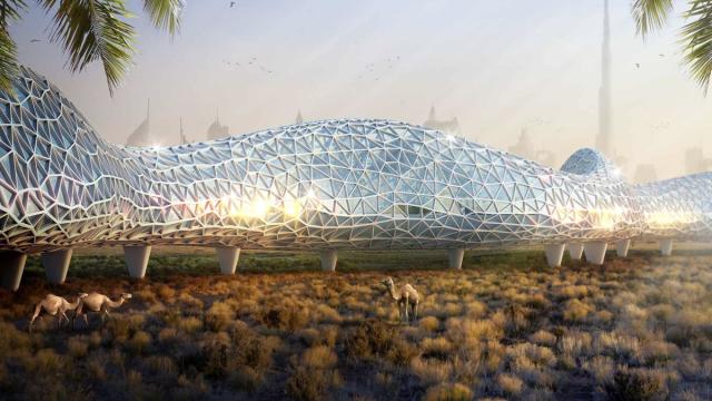 В Дубае показали THE LOOP — 93-километровое пешеходное шоссе