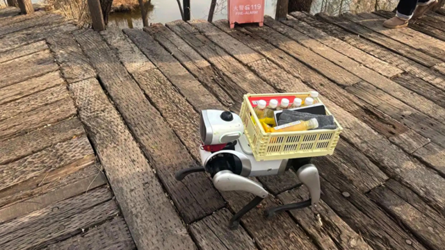 В Китае продают роботов-собак по цене смартфонов