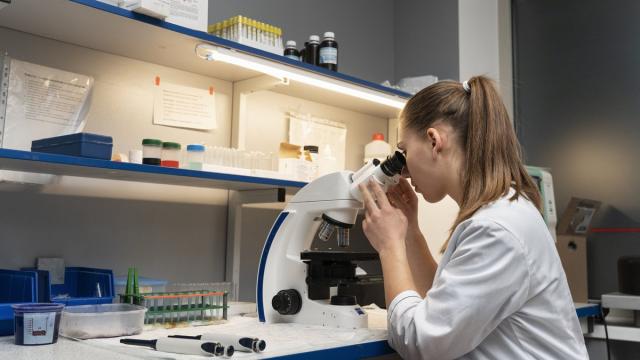 Генетики нашли «ахиллесову пяту» смертоносного грибка: что известно