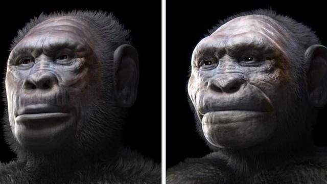 Из Африки явился не один предок человека: загадочные находки в Грузии