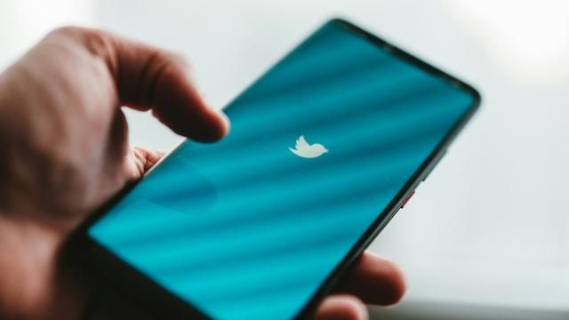 У Илона Маска планируют забрать бренд Twitter: что происходит