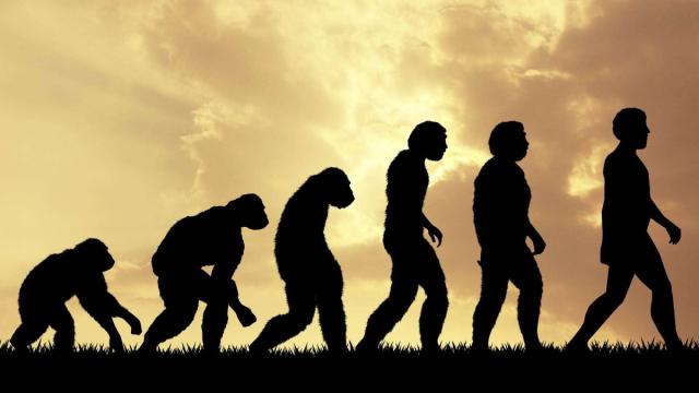 Ученые нашли ошибку в основной эволюционной теории