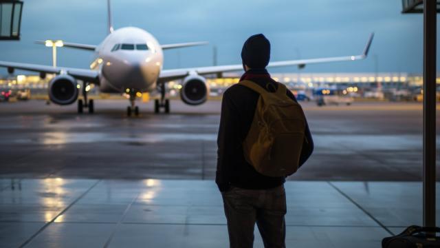 В России разрешат проходить в самолет без паспорта: подробности