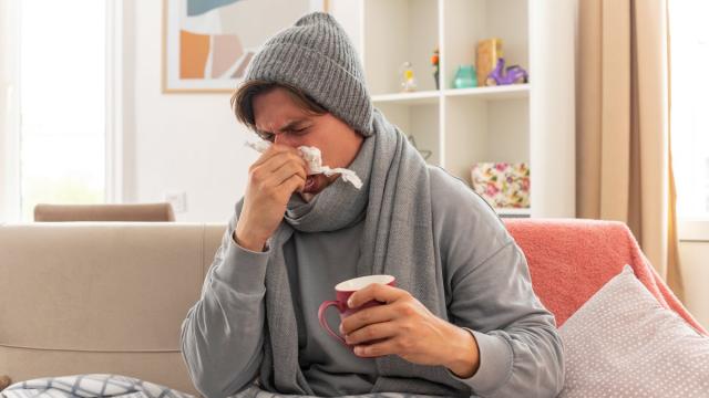 Названы 8 трав и пряностей для естественного укрепления иммунитета