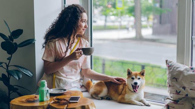 5 гаджетов, которые спасут квартиру от пыли и пыльцы этой весной