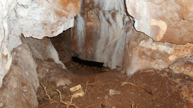 Анализ ДНК раскрыл секреты древнейших останков Северной Британии