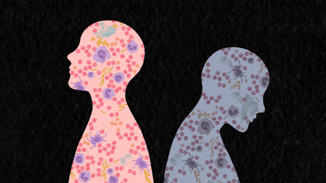 Как жизненный опыт перестраивает иммунную систему: ответ ученых