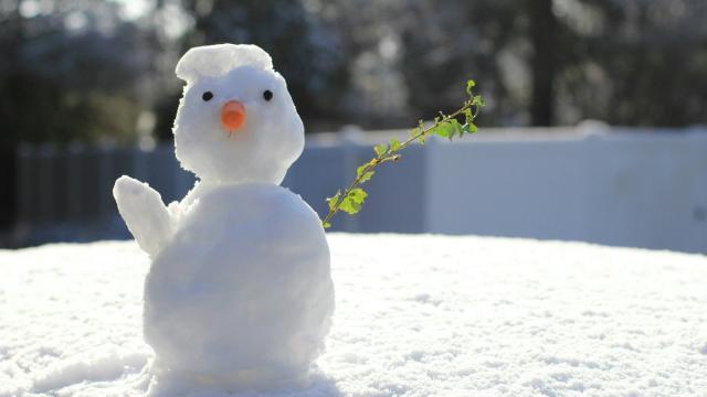 Кентавры пояса Койпера: кто слепил «космических снеговиков»