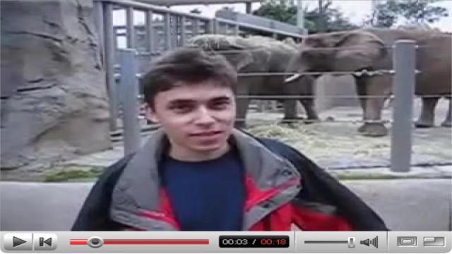 Первое видео на YouTube стало музейным экспонатом