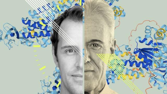 Переживания о старости ускоряют старение клеток: доказано учеными