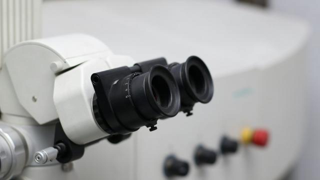 Рукотворные наночастицы нейтрализуют вирусы-фаги: подробности