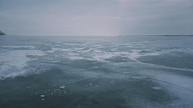 Самый распространенный организм на Земле оказался удивительно хрупким