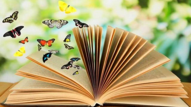 Тест: откроем новые границы познаний!