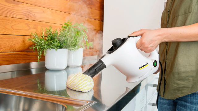 Товар дня — пароочиститель: как пережить последний месяц зимы без генеральной уборки