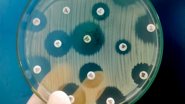 Ученые разморозили бактерии возрастом 5000 лет: они устойчивы к антибиотикам