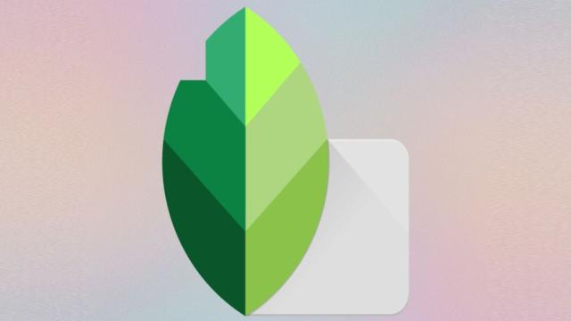 Фоторедактор Snapseed от Google превратился в полноценную камеру с профессиональными настройками и фильтрами