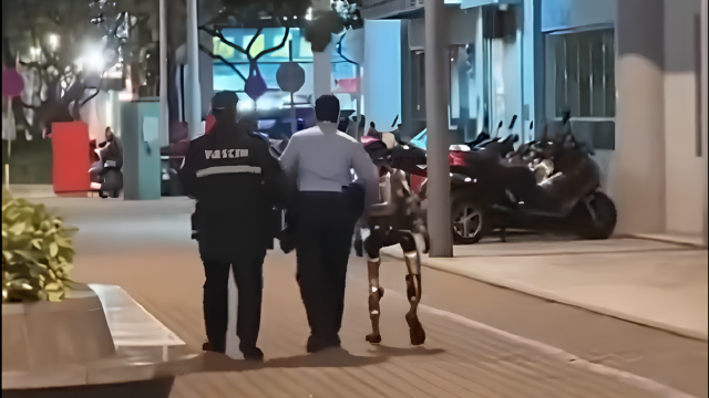 В Китае арестовали человекоподобного робота