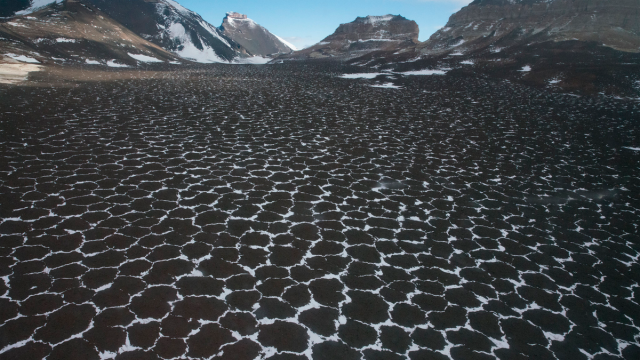 Где находится самое засушливое место Земли: дождя здесь нет уже 2 млн лет