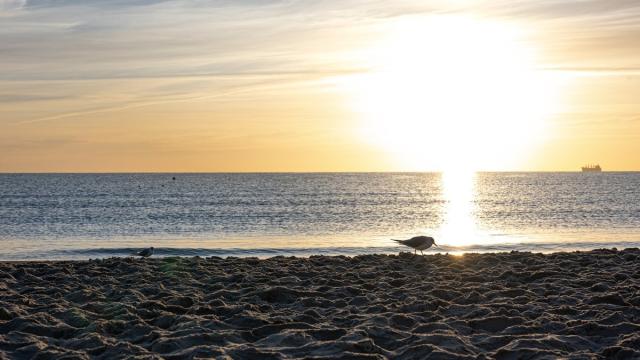 На Солнце зафиксировали мощный выброс плазмы: под вопросом лунная миссия