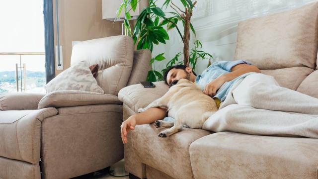 Полезно ли спать с питомцем? Ученые дали ответ