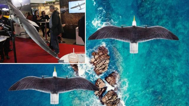 Представлен дрон для скрытого наблюдения, имитирующий птицу