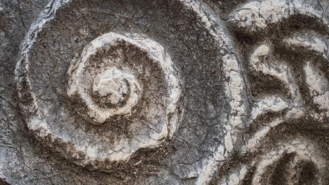 Установлен точный возраст древнейших организмов на Урале