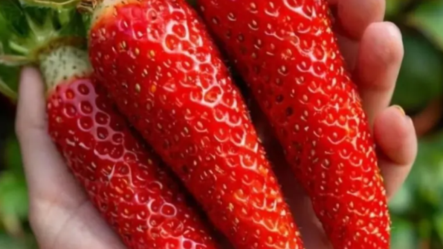 Wildberries наводнили фейковые товары — их рисуют нейросетями