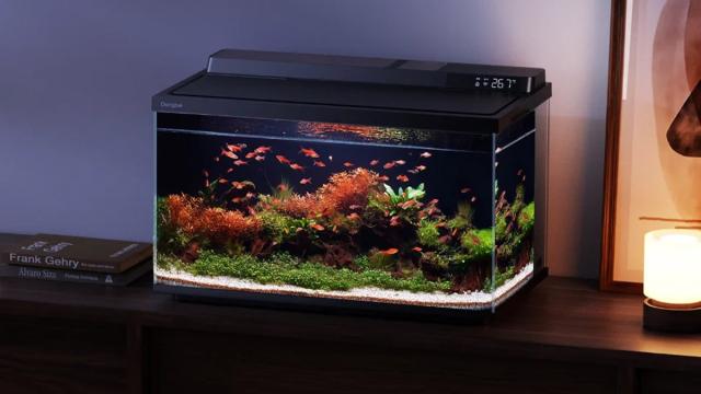В Китае анонсировали интеллектуальный аквариум Dangbei Smart Fish Tank