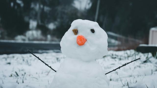 Воспоминания о холоде контролируют метаболизм: как это возможно